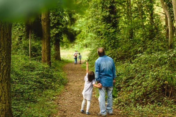 A small child walks hand-in-hand down a trail with an adult. The child is pointing at birds in the forest tree line. 