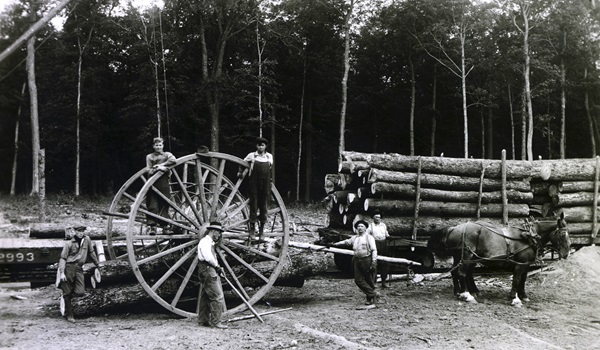 Small group of men pose on and near a lumber wagon filled with cut, stacked trees in the forest of Otsego County, ca. 1922