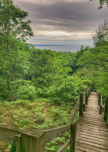 a wooden, railed platform and steps descend into a lush, green forested area. A large lake and blue sky are off in the distance
