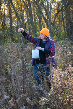 Volunteers collect seeds during workdays.