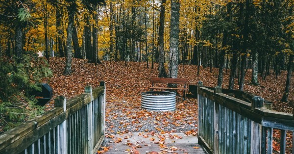 A wooden bridge leads to a leaf-covered firepit.