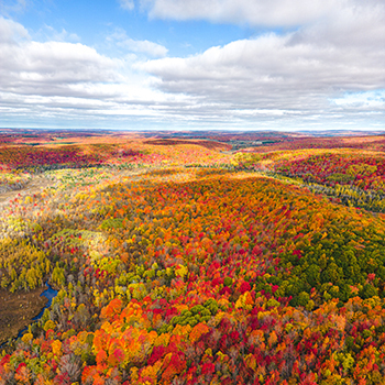 view overlooking trees popping with fall color