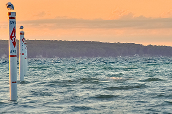 swim buoys with a bird sitting on top