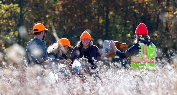 young men and women in outdoor gear and orange knit hats work in a grassy, reedy, forest field to collect seeds from native plants