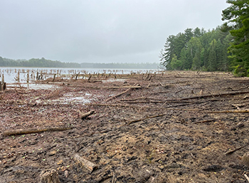 The water level in Cornwall Creek Flooding was drawn down to address safety concerns with the dam.