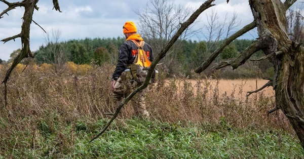 a man dressed in hunter orange and camo pants and carrying game bags walks near a dead, downed tree in a low, open, grassy field