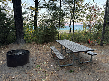 wooded campsite with picnic table, fire pit and lake view