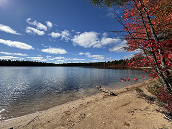 view of lake from shoreline with fall foliage