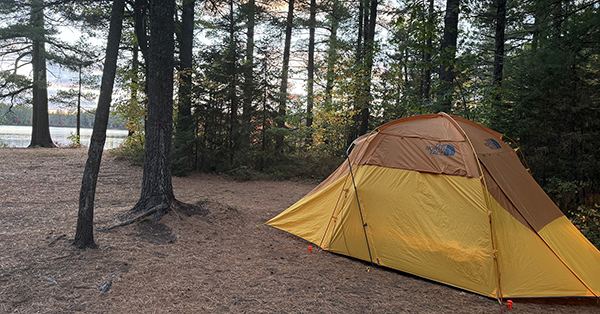 tent on wooded campsite with lake view