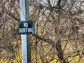 A no hunting sign is shown posted on a wooden post. Hunters should respect these signs.