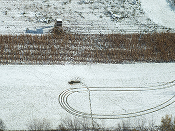 An aerial view shows a deer kill site in front of a blind where bait had been left for deer.