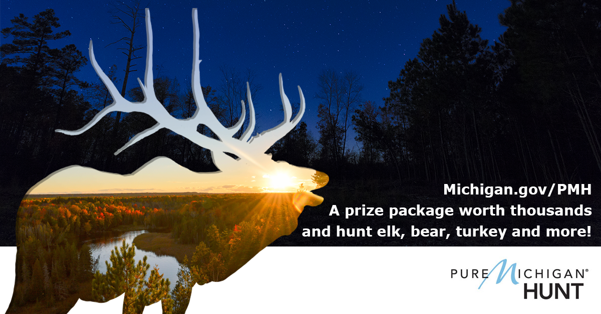 A bull elk silhouette filled with a sunrise scene overlayed upon a nighttime scene in promotion of the Pure Michigan Hunt. 