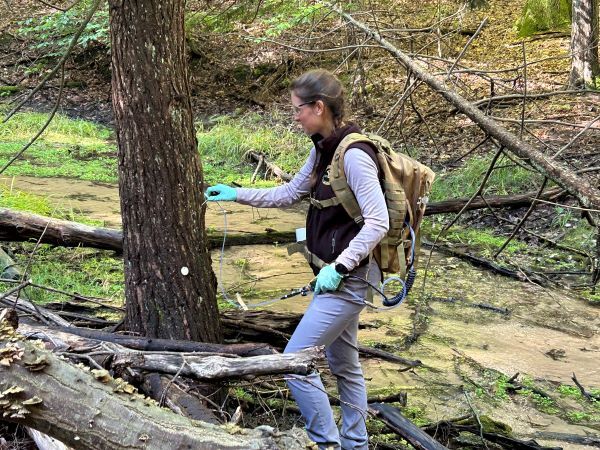 Wildlife technician, Rachel Kanaziz, treats hemlock trees for hemlock woolly adelgid. 