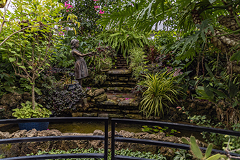A statue of a girl is shown among the plants at the newly remodeled Belle Isle Conservatory.