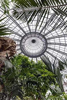 The newly remodeled dome is shown at the conservancy on Belle Isle.