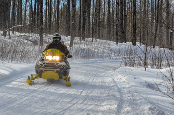 snowmobile on trail in woods