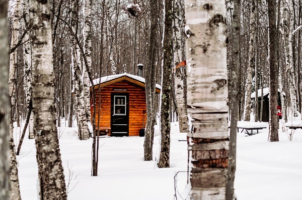 The tiny White Birch Cabin, cedar sided with a green door, nestled among stands of white birch trees in the snowy Ontonagon County forest