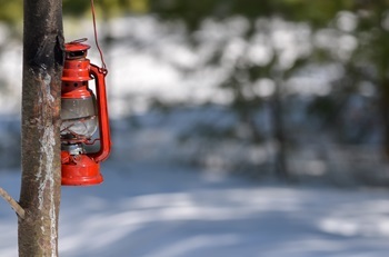 a bright red, metal lantern hangs from a tree, helping to mark the snowy trail at Van Riper State Park for snowshoers and hikers