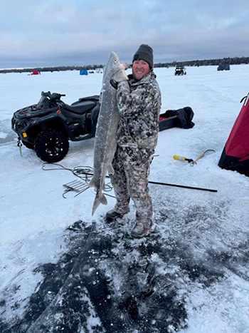 The harvested sturgeon ranged in size from 43.5 inches to 64 inches long and weighed 18.2 pounds to 78.3 pounds.