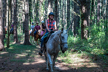 horse riders on wooded trail