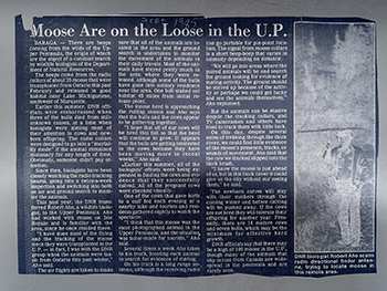 An article from the 1980s discusses Michigan moose reintroduction efforts.