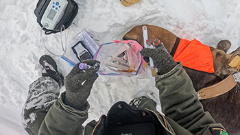 A close-up photo shows a researcher and some of the equipment he uses in the field.