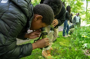a small group of students in coats kneel down to use hand microscopes to explore a wet, grassy area at Maybury State Park