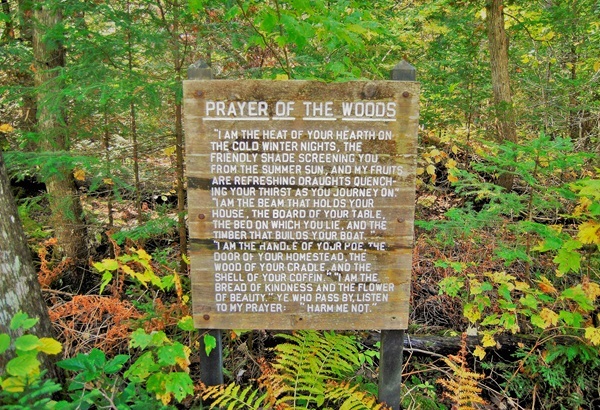 A wooden plaque, titled Prayer of the Woods, with several verses carved in, staked in the forest at Tahquamenon Falls State Park