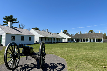 iconic cannon in front of historic buildings