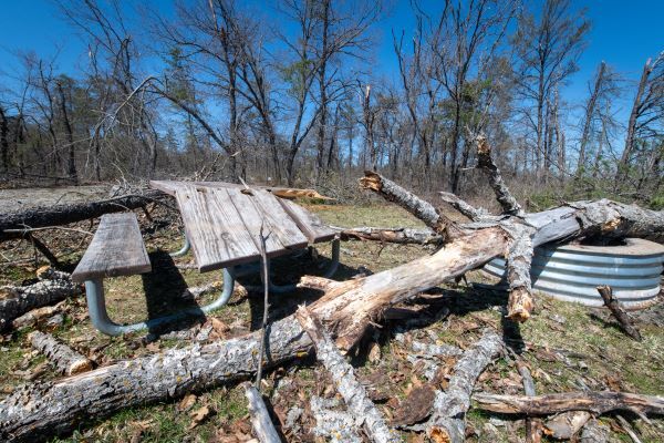 A picnic table and campfire ring are crushed by a tree that fell during the ice storm in northern Michigan March 28-30, 2025.