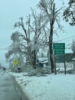 Gaylord was covered in ice March 28-30, breaking many trees, downing power lines and leaving a lasting impact on the city scape. 