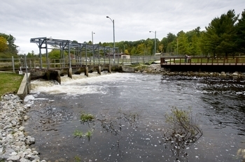 Construction will begin the week of July 21 on a new sea lamprey barrier and trap at the Little Manistee River Weir.