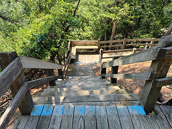 Skyline Trail at Ludington State Park