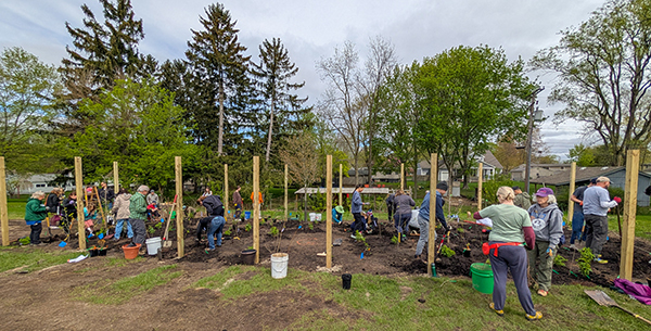 Locals come out to help plant the Rochester micro forest.