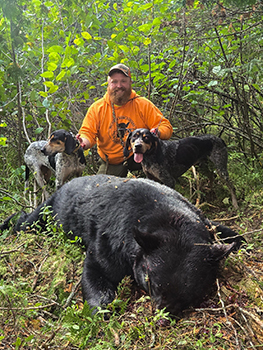 Elijah Keller harvested this bear in the western U.P. in October 2024 with help from hounds Gabby (left) and Poncho.
