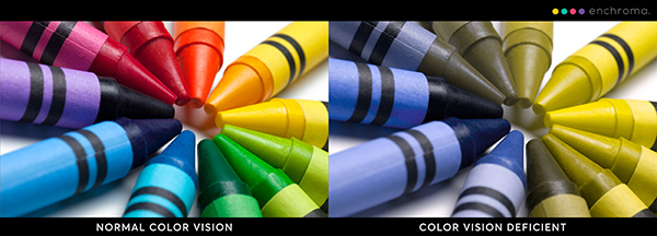A comparison display shows how colored crayons look to a person with and without colorblindness.