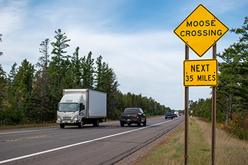 A moose crossing sign along U.S. Highway 41 in Greenwood, one of the moose crash hotspots in the U.P.