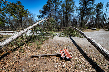 Ice-storm damage, including downed trees, is shown from Tomahawk Lake State Forest Campground.