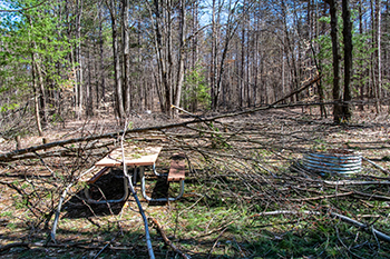 Extensive ice-storm damage is shown from Weber Lake State Forest Campground.