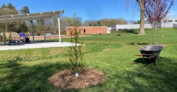 Tree planting outside of an elementary school
