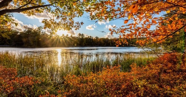 Autumn sun on lake