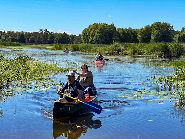 Canoeists on a sunny, blue-sky day, paddle out to check out manoomin.