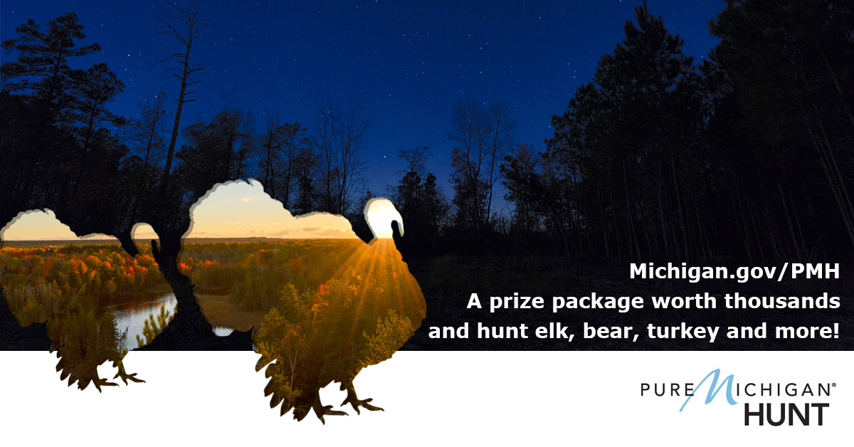 A daytime silhouette of turkeys walks across a night skyline with information for the Pure Michigan Hunt