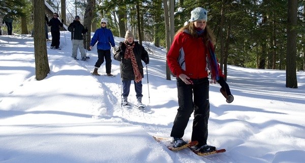 a single-file line of adults in winter coats and snow pants snowshoe through a bright, sunlit forest at Hoffmaster State Park