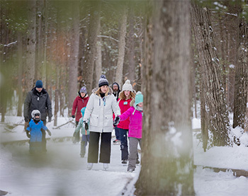 people iceskating on trail in woods