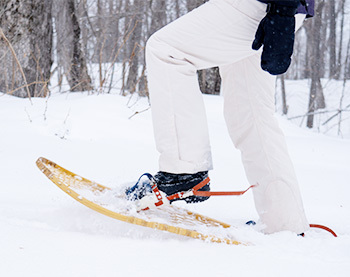 someone walking in snowshoes