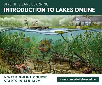 colorful graphic for MSUE's inland lakes online course, showing underwater fish, plants, and kids, a dock and house aboveground