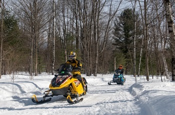 snowmobilers on yellow and blue sleds ride single file on a sunlit, snowy, forested trail in Blue Lake Township, Kalkaska County