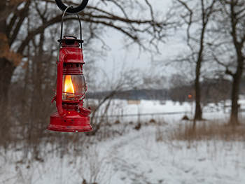lantern hung along snowy, tree-lined trail