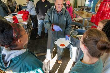 Coho salmon eggs were collected at the Platte River State Fish Hatchery Weir from Oct. 16 to Oct. 28.